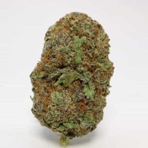 buy black diamond indica grade aaa