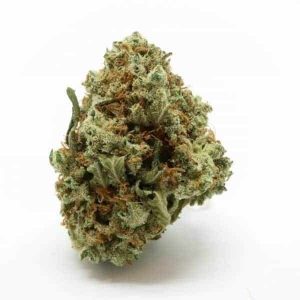 Purchase Blue Nuken Hybrid Online