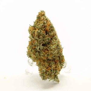 god bud indica online order