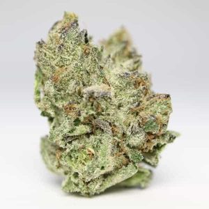 Get Gorilla Glue Hybrid