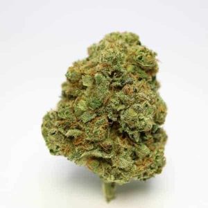buy romulan strain