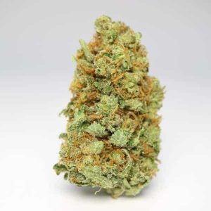Congo hybrid strain