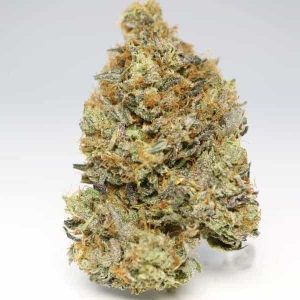 Buy the Lindsay OG Indica Dominant Hybrid Strain