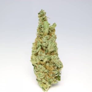 Organic Chocolope Kush