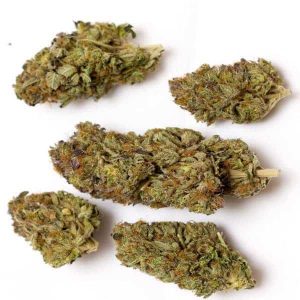 Buy Rockstar AAA Indica Hybrid Strain