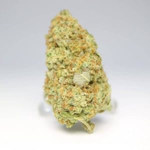 White Castle Hybrid | Grade: AAA